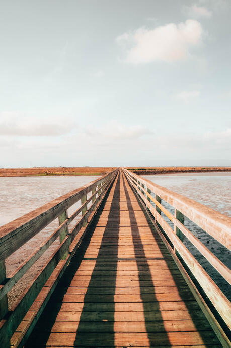 Hayward Shoreline