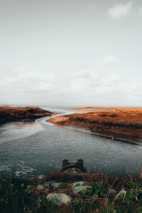 Hayward Shoreline